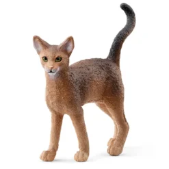 Abessinierkatze