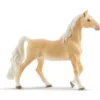 American Saddlebred Stute