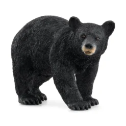 Amerikanischer Schwarzbär