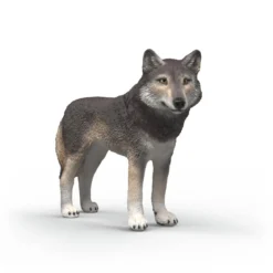 Amerikanischer Wolf