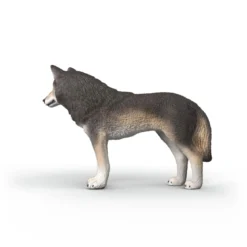 Amerikanischer Wolf
