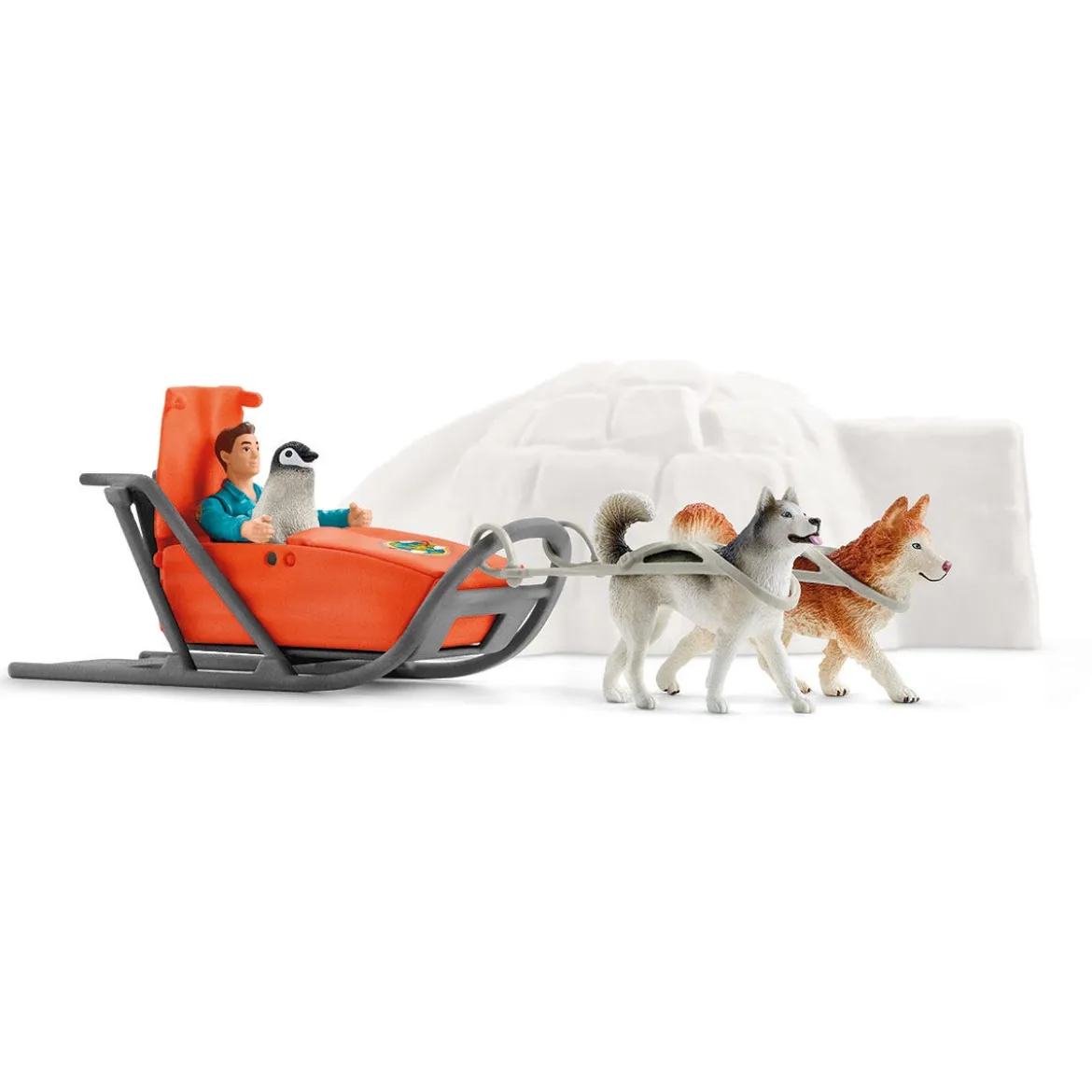 Antarktis Expedition