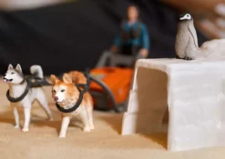 Antarktis Expedition