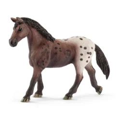 Appaloosa Stute