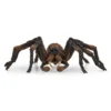 Aragog