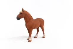 Belgische Zuchtstute