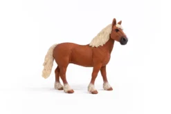 Belgische Zuchtstute
