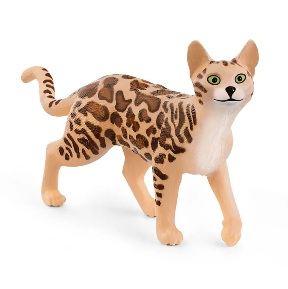 Bengal Katze