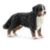 Berner Sennenhündin