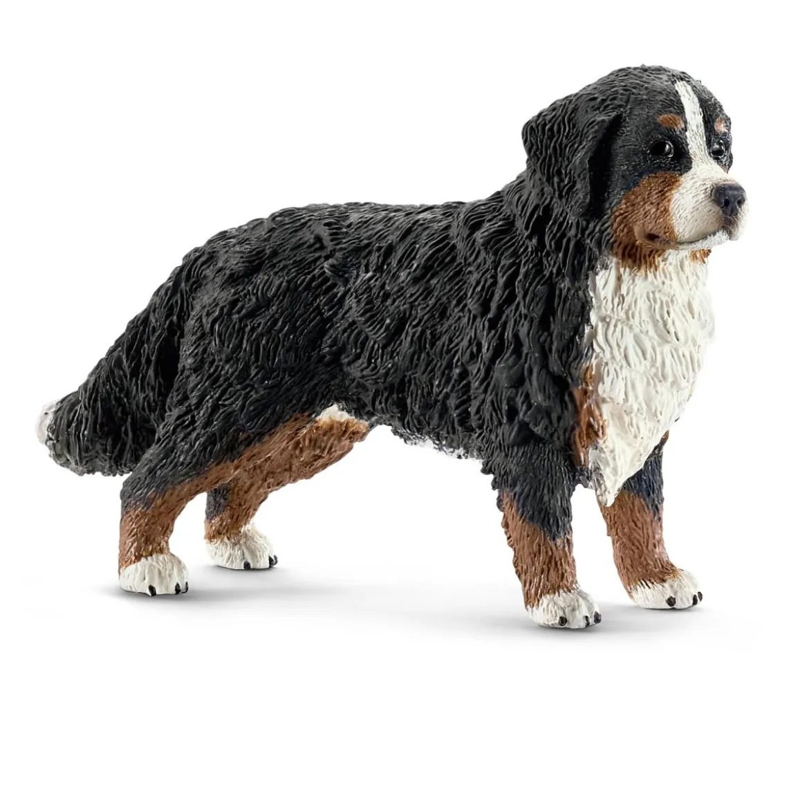 Berner Sennenhündin