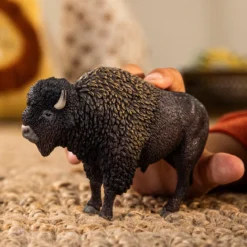 Bison