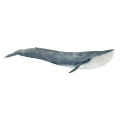Blauwal