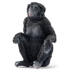 Bonobo Weibchen (bundle)
