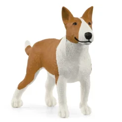 Bullterrier