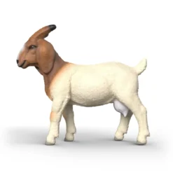 Burenziege