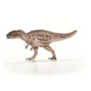 Carcharodontosaurus