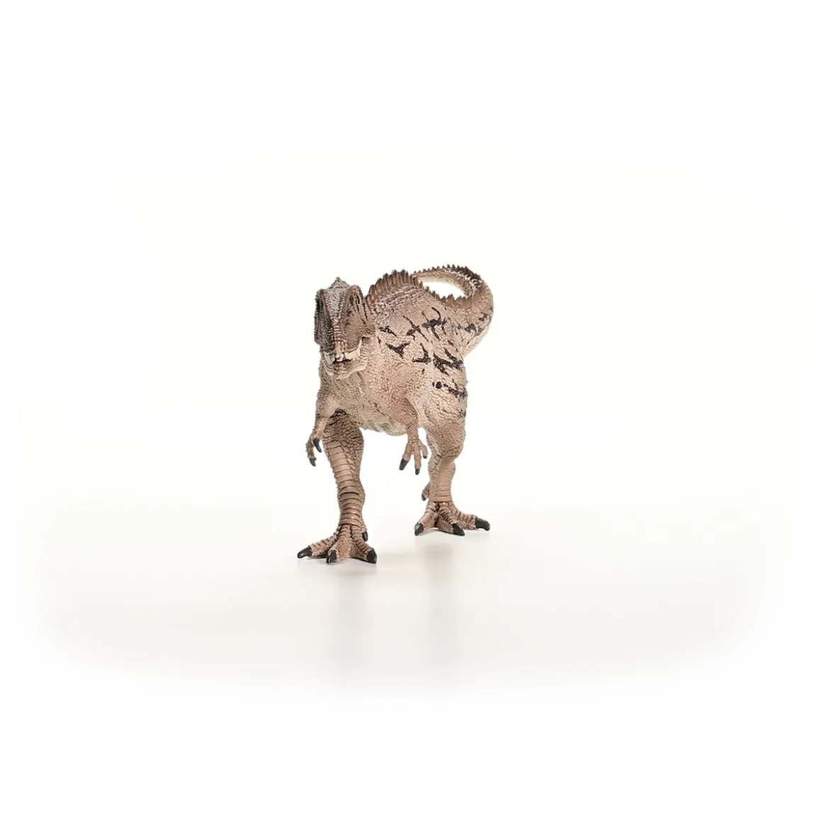 Carcharodontosaurus