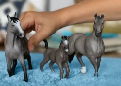 Cheval de Selle Francais Hengst