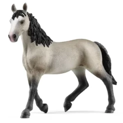 Cheval de Selle Francais Stute
