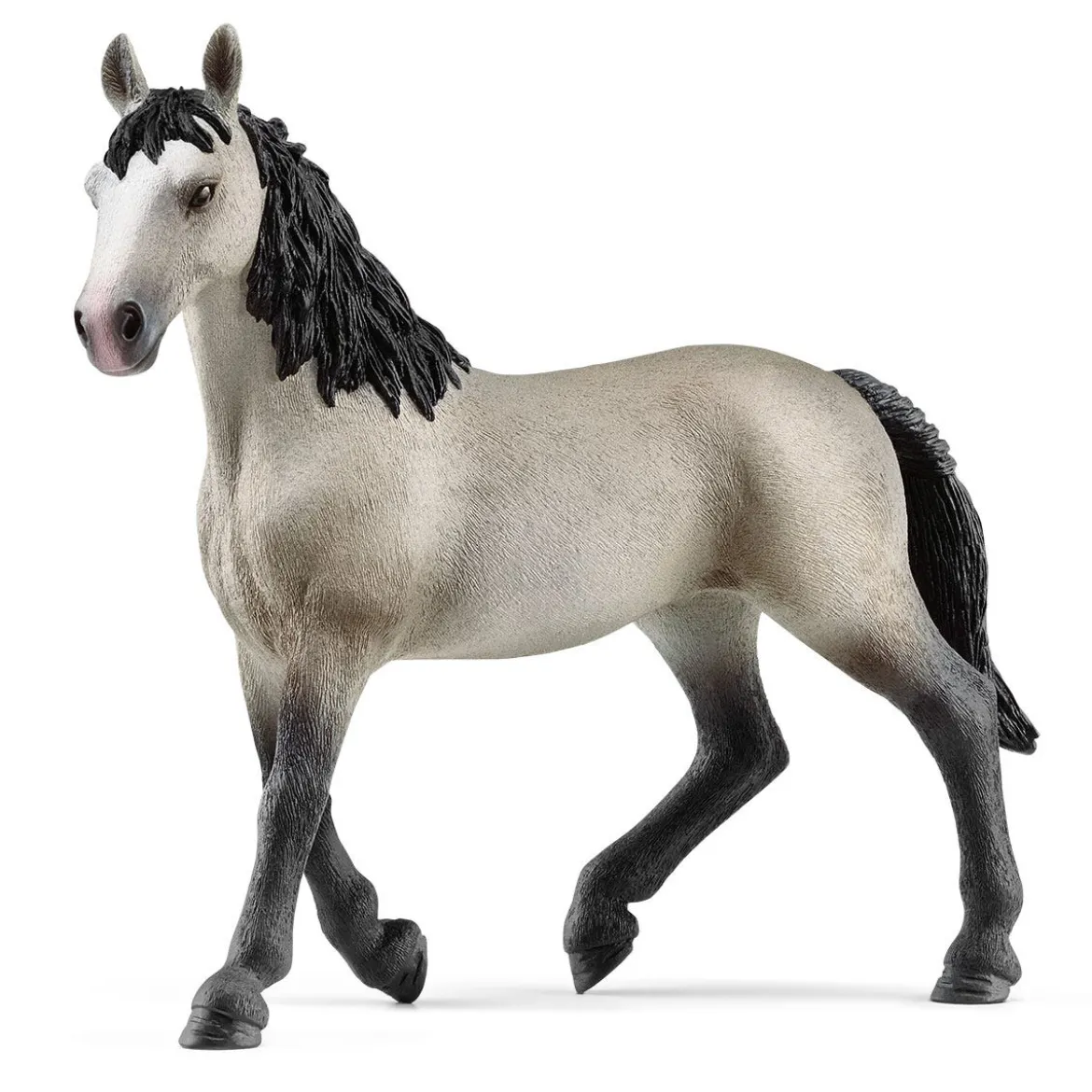 Cheval de Selle Francais Stute