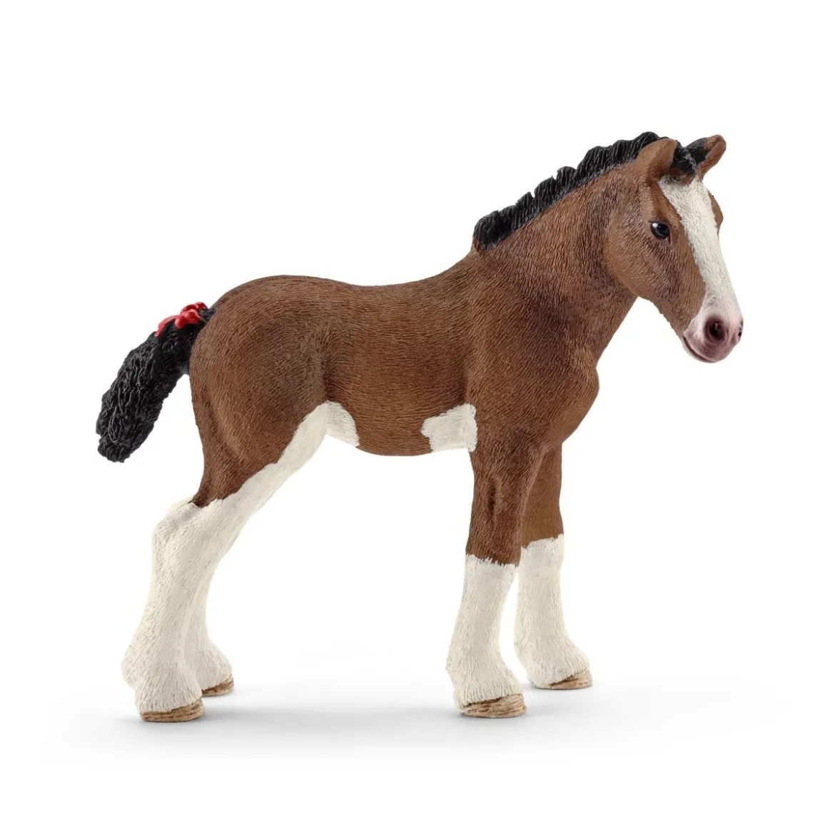 Clydesdale Fohlen