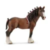 Clydesdale Wallach