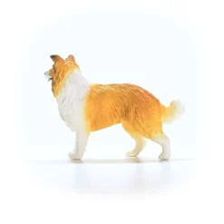 Collie