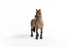 Criollo Definitivo Stute