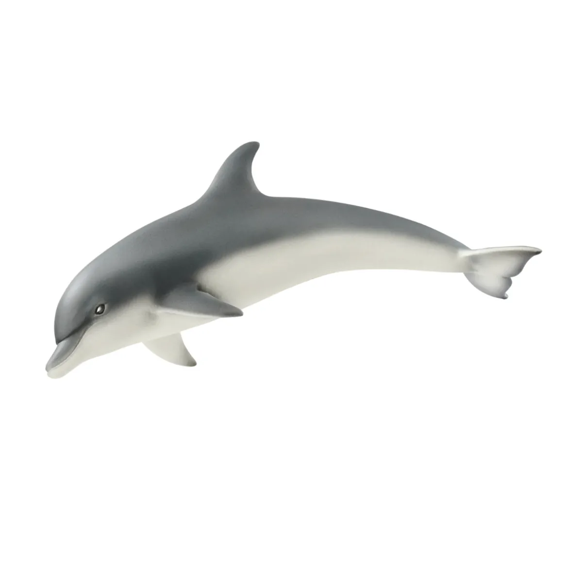 Delfin (Bundle)