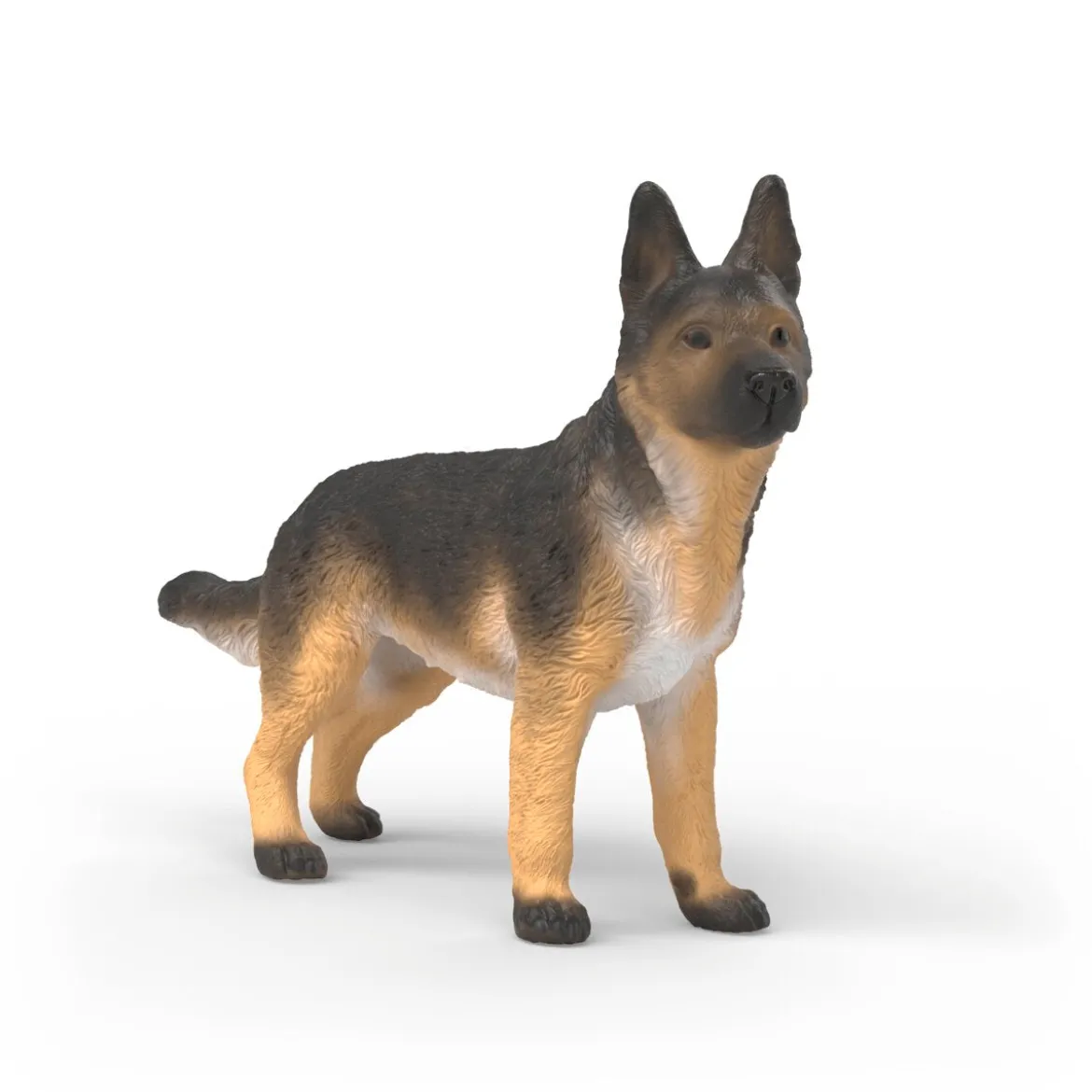 Deutscher Schäferhund Hündin