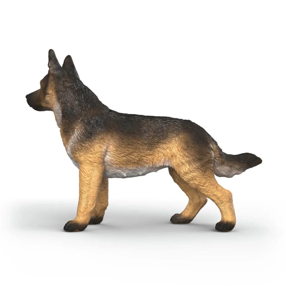 Deutscher Schäferhund Hündin