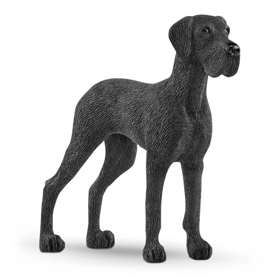 Dänische Dogge