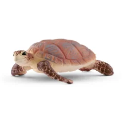 Echte Karettschildkröte (bundle)