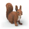 Eichhörnchen