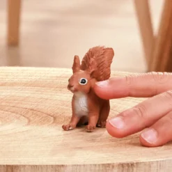 Eichhörnchen