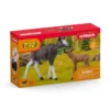Elchkuh mit Kalb
