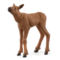 Elchkuh mit Kalb