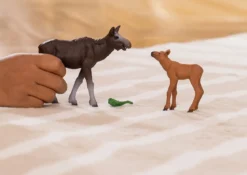 Elchkuh mit Kalb