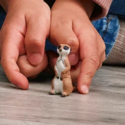 Erdmännchen