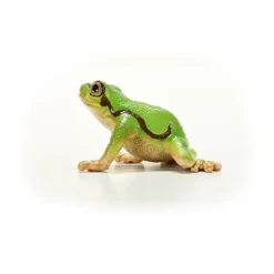 Europäischer Laubfrosch
