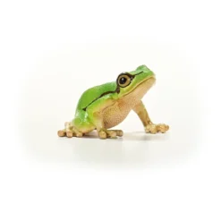 Europäischer Laubfrosch