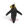 Felsenpinguin