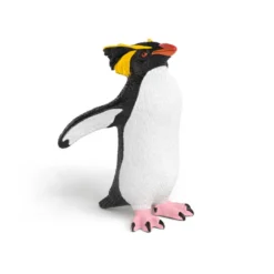 Felsenpinguin