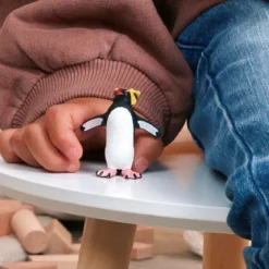 Felsenpinguin