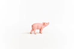Ferkel
