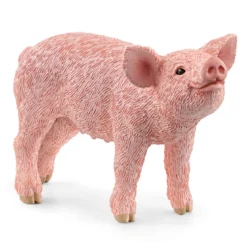 Ferkel