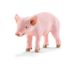 Ferkel (Bundle)