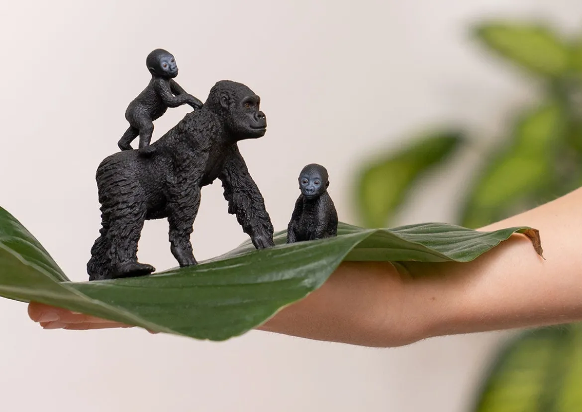 Flachland Gorilla Familie