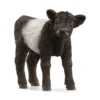 Galloway Kalb