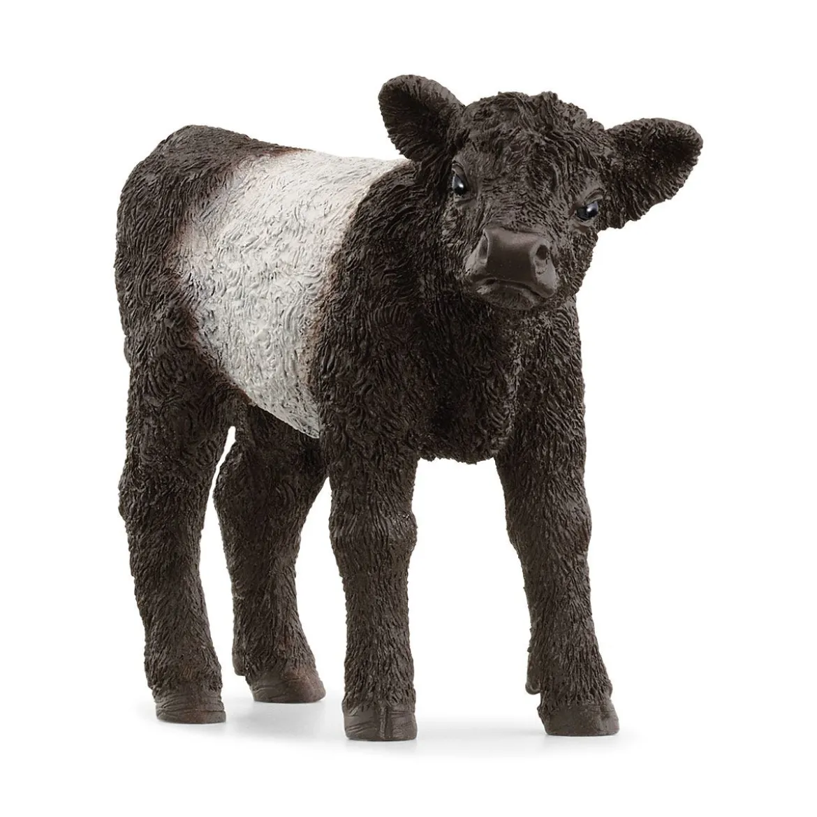 Galloway Kalb
